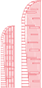 厦门 厦门